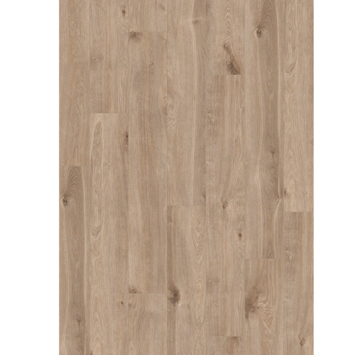 Stockholm Oak