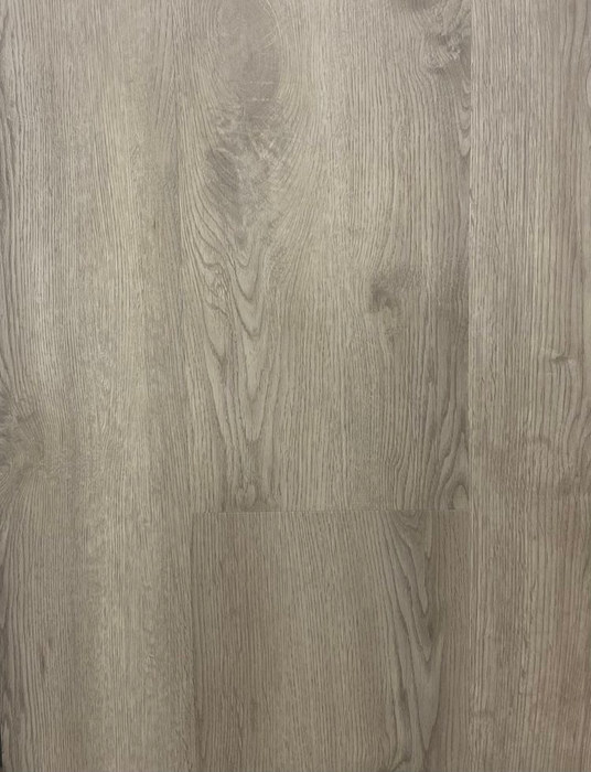 Dutch Grey